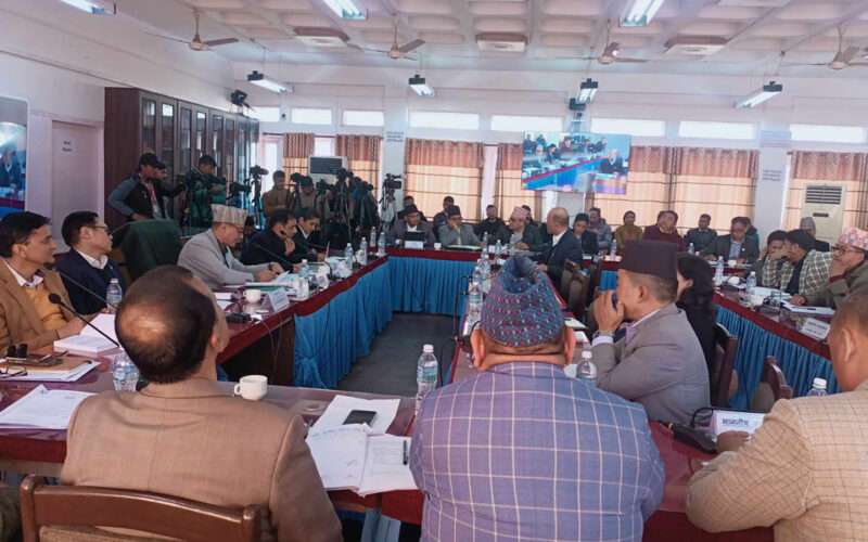 एनसेलको सेयर खरिद–बिक्री सम्झौताबारे छानबिन समितिको प्रतिवेदन  सार्वजनिक गर्न सरकारलाई निर्देशन