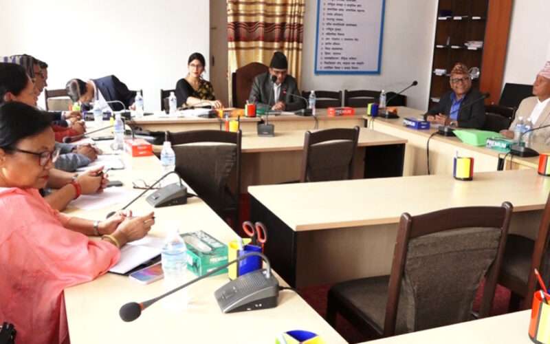 ९ वटा सहकारीको कागजात झिकाउने संसदीय छानबिन समितिको निर्णय