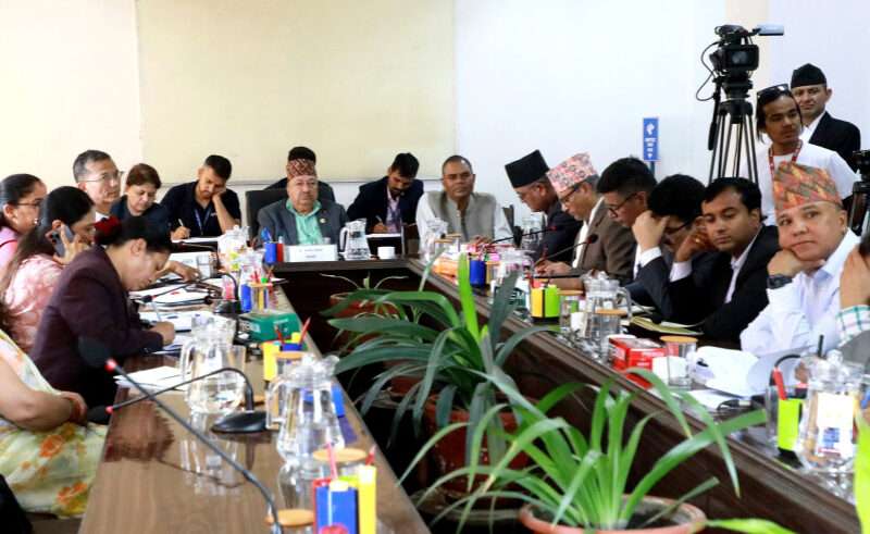 डिजिटल कारोबारलाई पनि व्यवस्थित गर्नुपर्ने सांसदहरुको भनाइ
