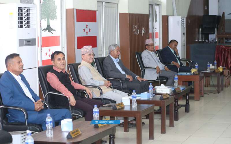 आगामी चुनावमा अन्य दलहरूसँग गठबन्धन नगरी एक्लैले जित्न सक्ने गरी पार्टीको संगठन विस्तार गर्ने कांग्रेसको निर्णय