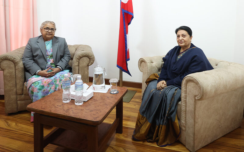 आगजनीग्रस्त सिंहदरबार निरीक्षण गर्दै भण्डारी, प्रधानमन्त्री कार्कीसँग भेटवार्ता