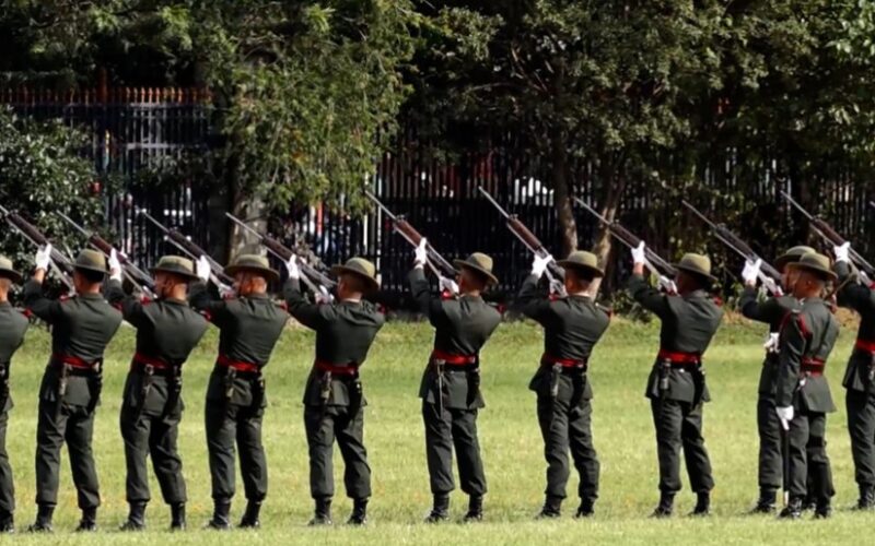 नेपाली सेनाले ३८८ वटा  पदमा दरखास्त माग्यो