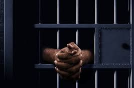 हात्तीको दाह्रा तस्करी मुद्दामा फरार युवक तीन महिनापछि पक्राउ